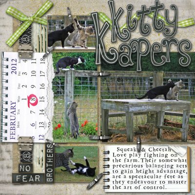Kitty Kapers