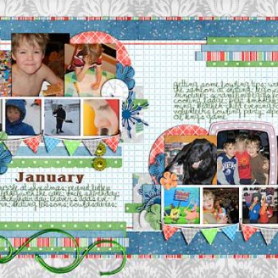 P365: January summary 2011