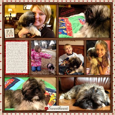 Miss Molly