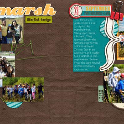 Marsh Field Trip