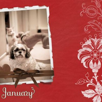 January Topper