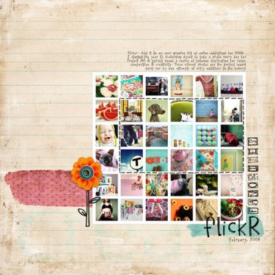 Flickr Favorites- Feb '08