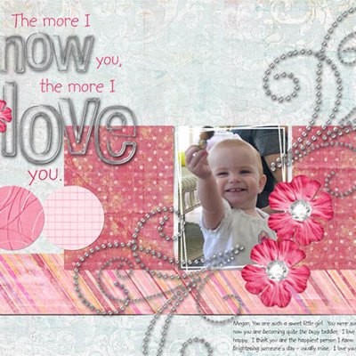 The More I Know You The More I Love You