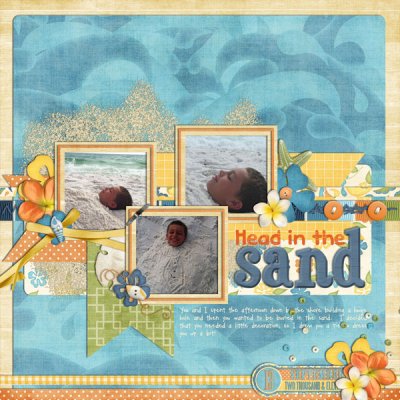 Head In The Sand