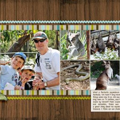 Reptile Park