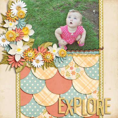 explore_web1