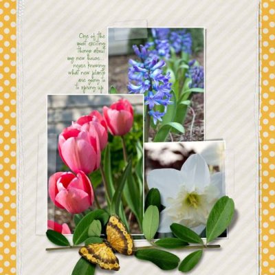 My Plants