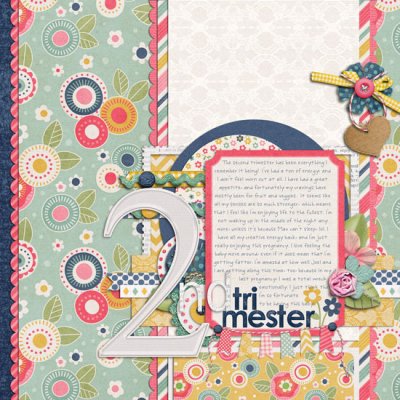2nd Trimester