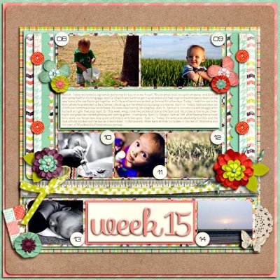 Week 15