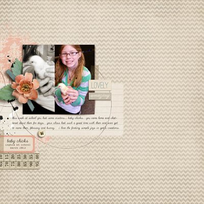 baby chick