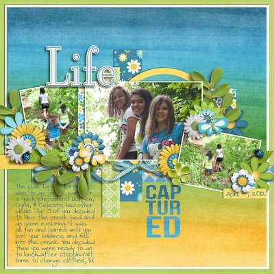 Life Captured