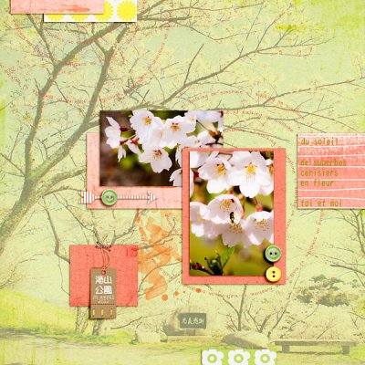 Cherry blossoms 2