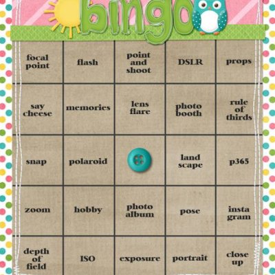 ssd_bingo_nsd-web