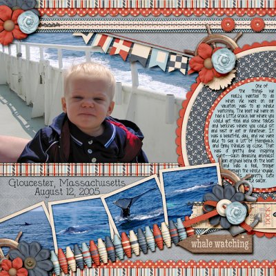 Whale Watching