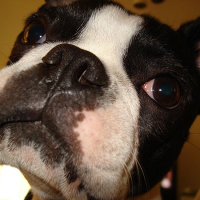 Zoey