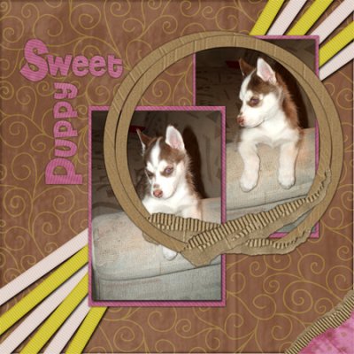 Sweet Puppy