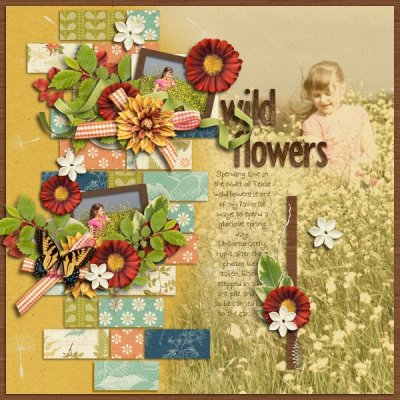 Wildflowers