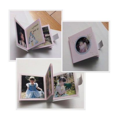 The Princess Grows Up Accordion Album