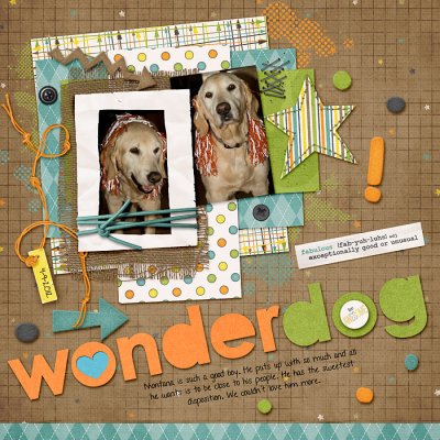 wonderdog