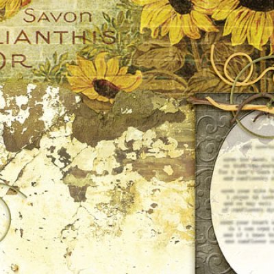 Poetry book :: Sunflowers