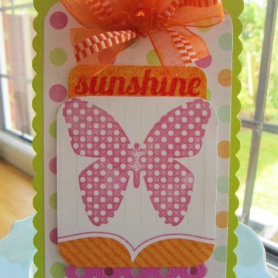 Sunshine Tag