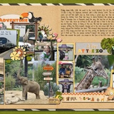 A Day at the Zoo