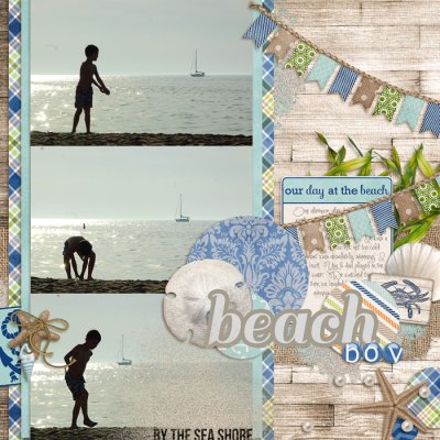 beach boy.