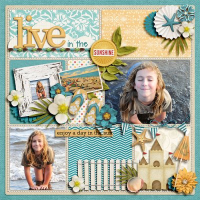 Live In The Sun