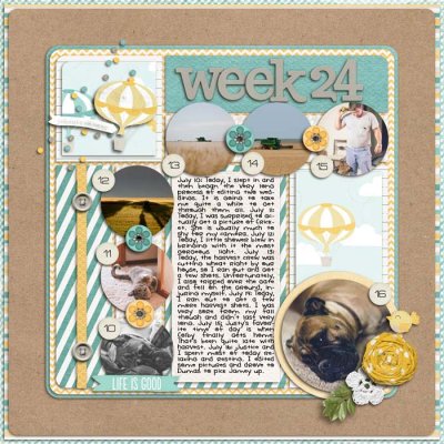 Week 24