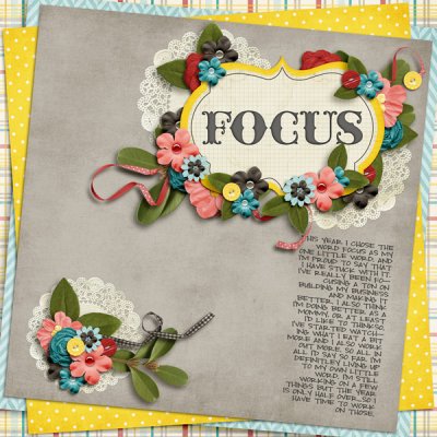 OLW Focus recap