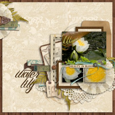 water lily