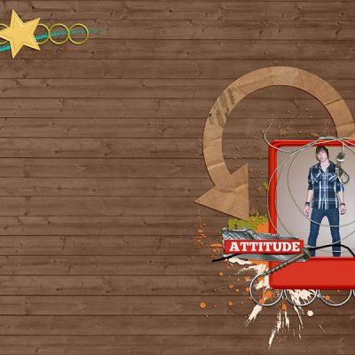 attitude