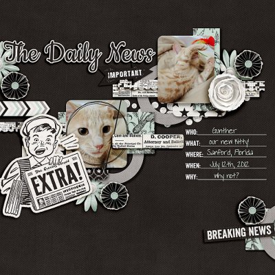 Daily News