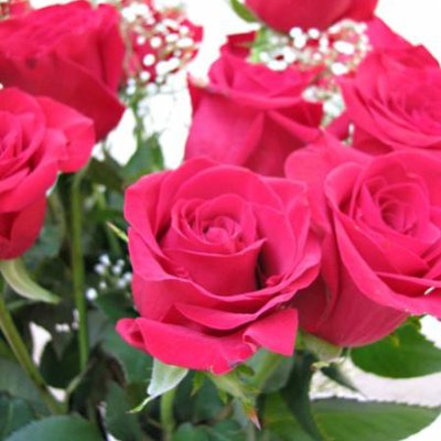 V-Day Roses - Closeup (#2)