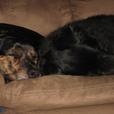 Challenge 2 Photo #2 - {Snooze}