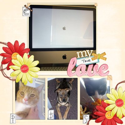 My true loves