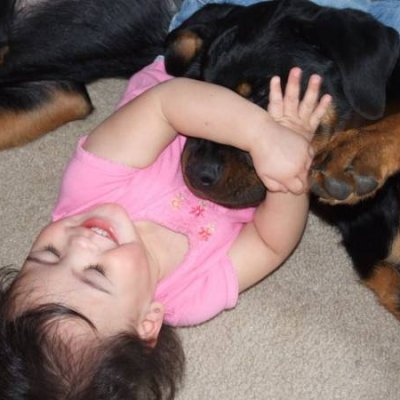Piper and Pups close up