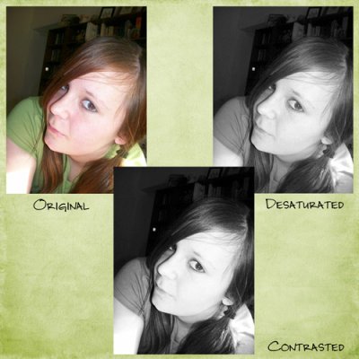 Shutterbug Shakedown #3