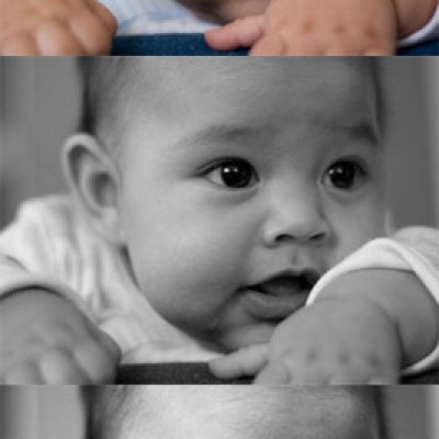 Shutterbug #3
