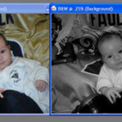 Shutterbug Shakedown #3
