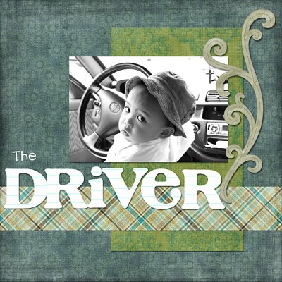 The Driver