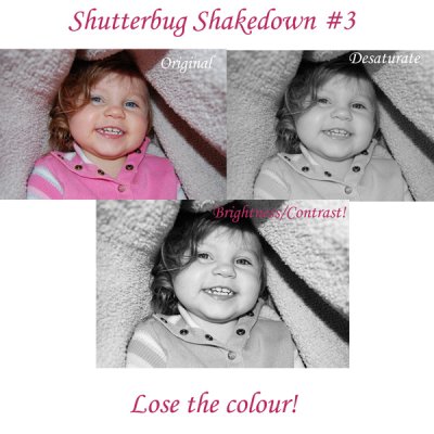 Shutterbug Shakedown #3, Lose the colour!