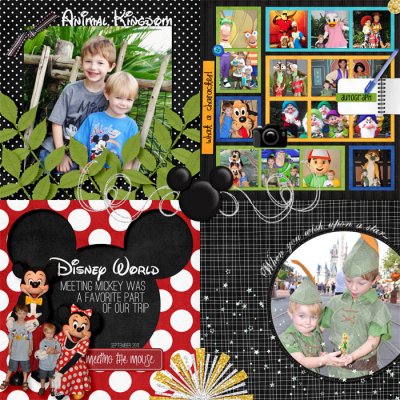 Disney World 2011