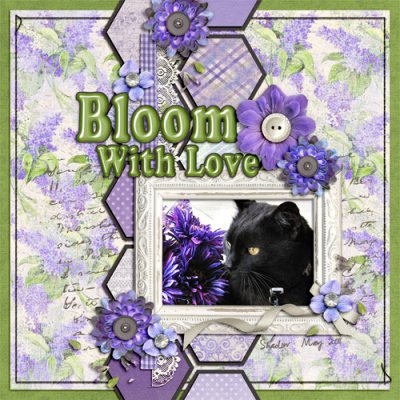 2011 05 2012 Aug Challenge 2 ScrapliftLynnette