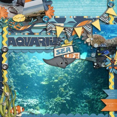Sea Life Aquarium