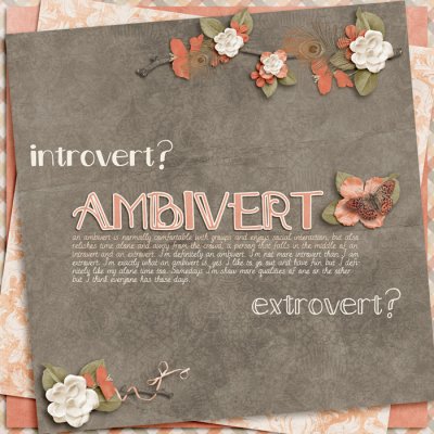 Ambivert