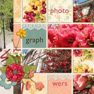 Photographing flowers