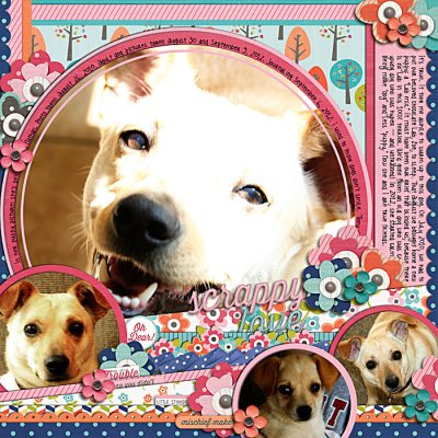 scrappy love