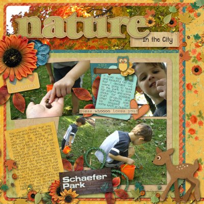 nature in the city, page 1
