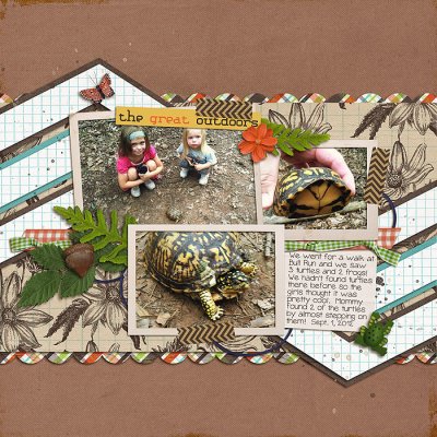 turtle walk